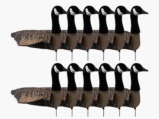 Sillosocks Decoy Sillosocks Canada Goose Standing 12-Pack