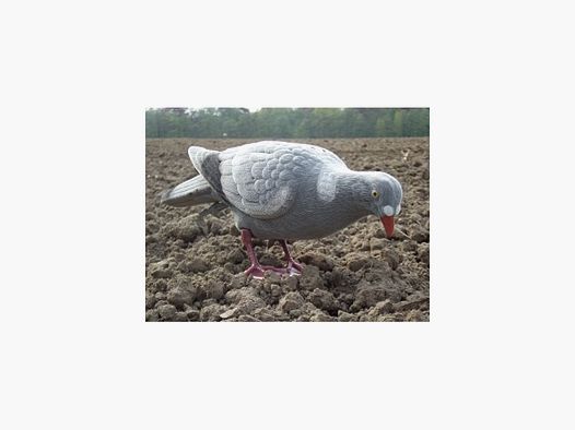 LOCKTAUBE Vollichaam PICKEND beflockt met voet & aardspies