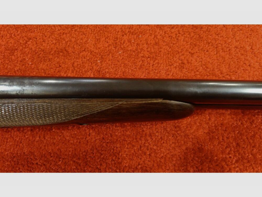 Aya senza 12/70;12/70