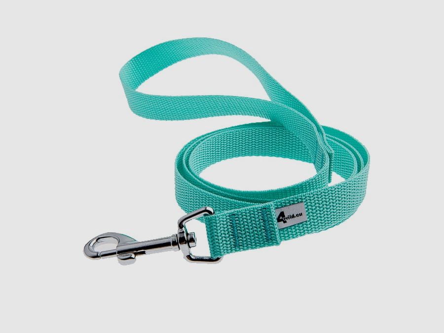 Classic urban dog leash 120 cm – mint, image 1 of 2