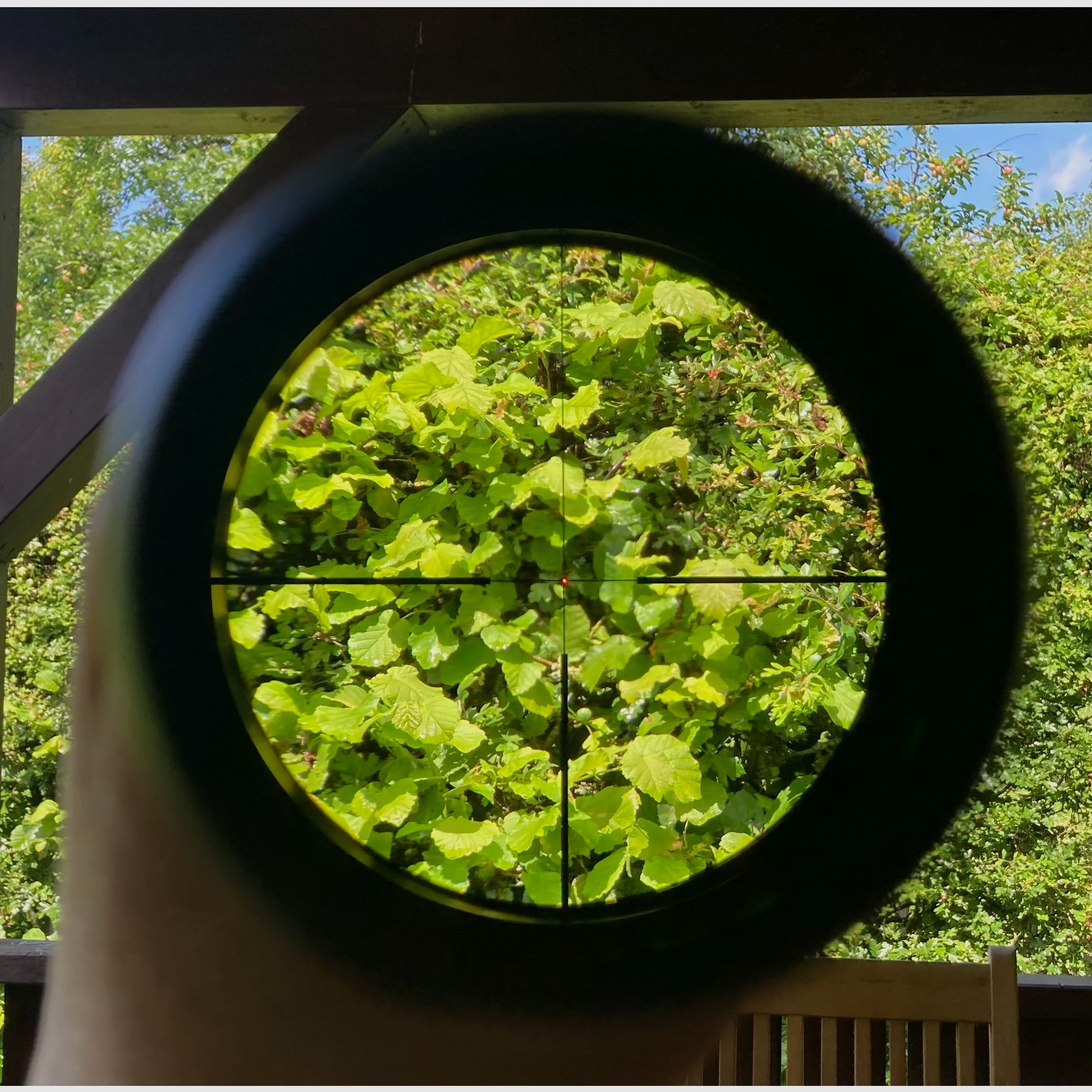 Zeiss 2,5-10x50 mit Schiene Zeiss HT