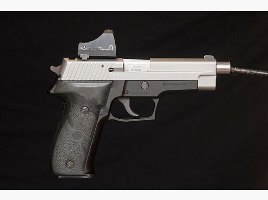 Sig Sauer P226 S with Docter Sight