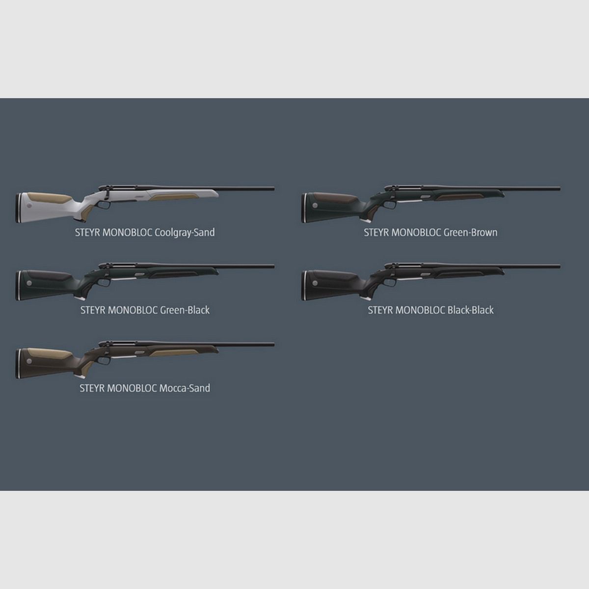 Steyr Mannlicher Monobloc, image 5 sur 5