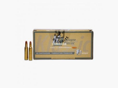 MUNITION PATRONEN SOLOGNE 243W SUBSONISCH