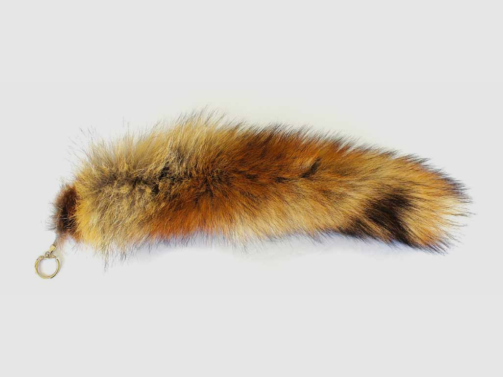 Actual fox tail