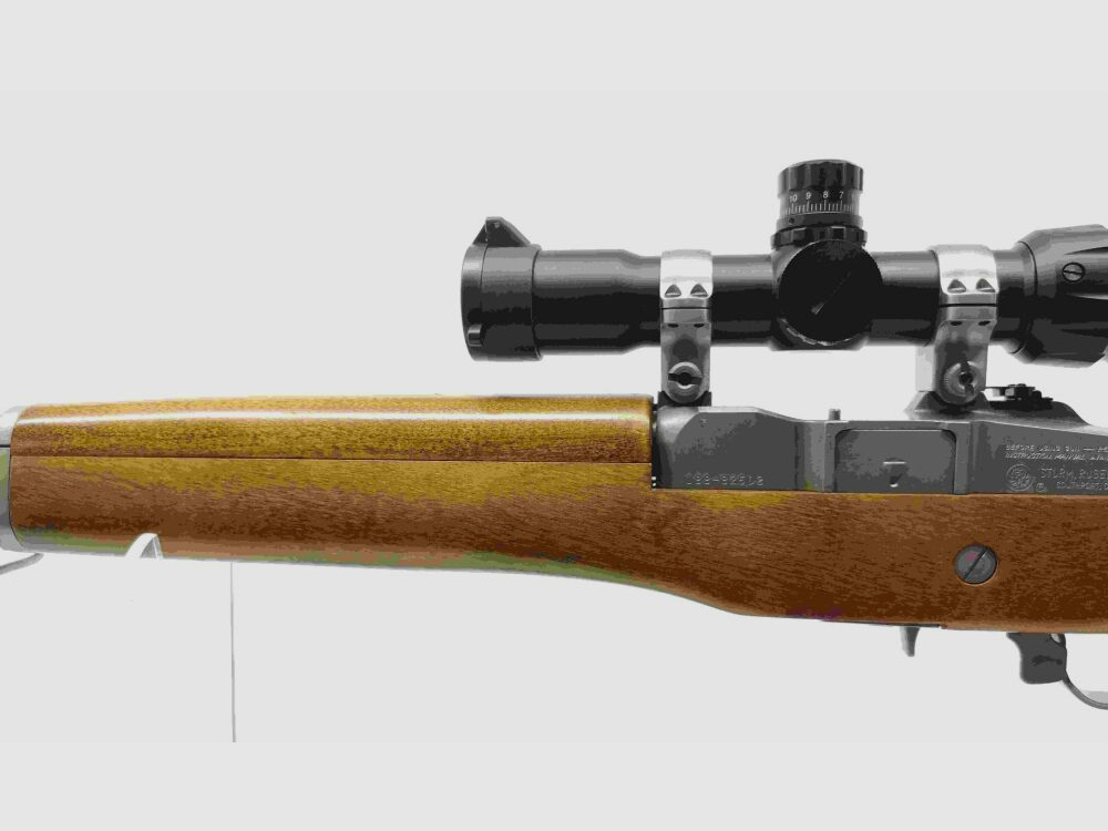 Ruger Ranch Rifle Mini 14