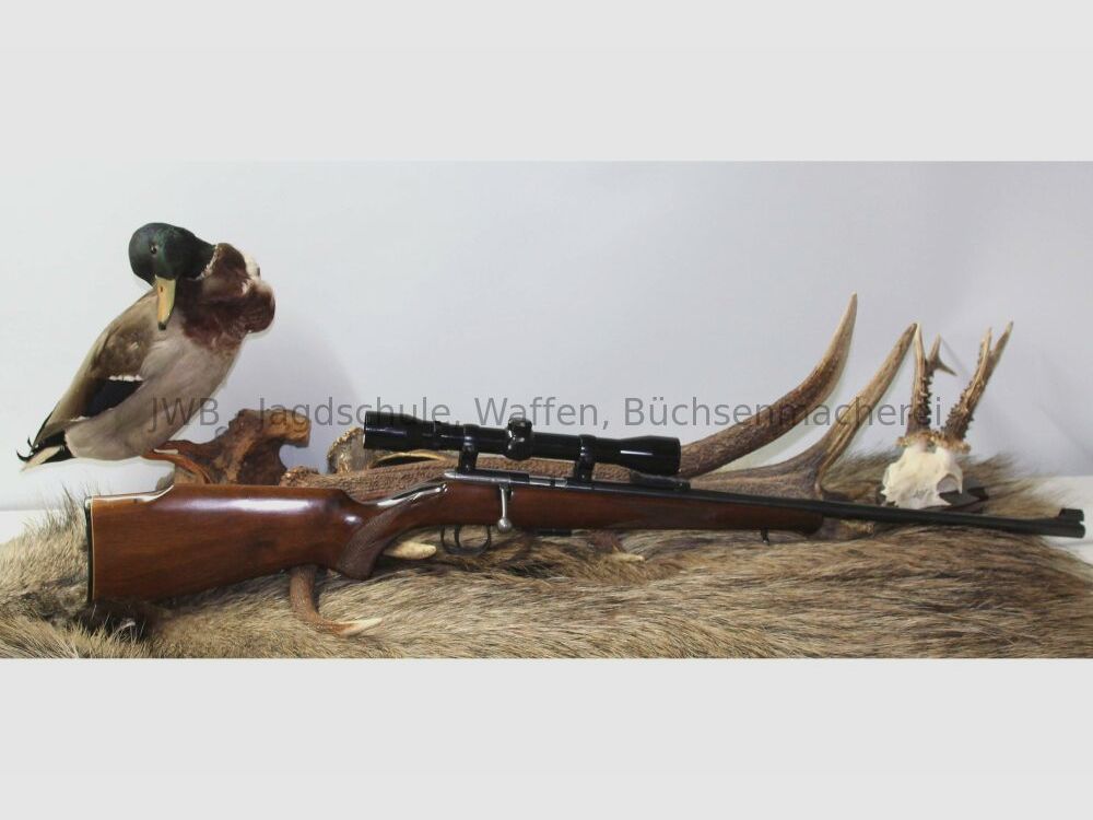 Anschütz 1400 .22lr