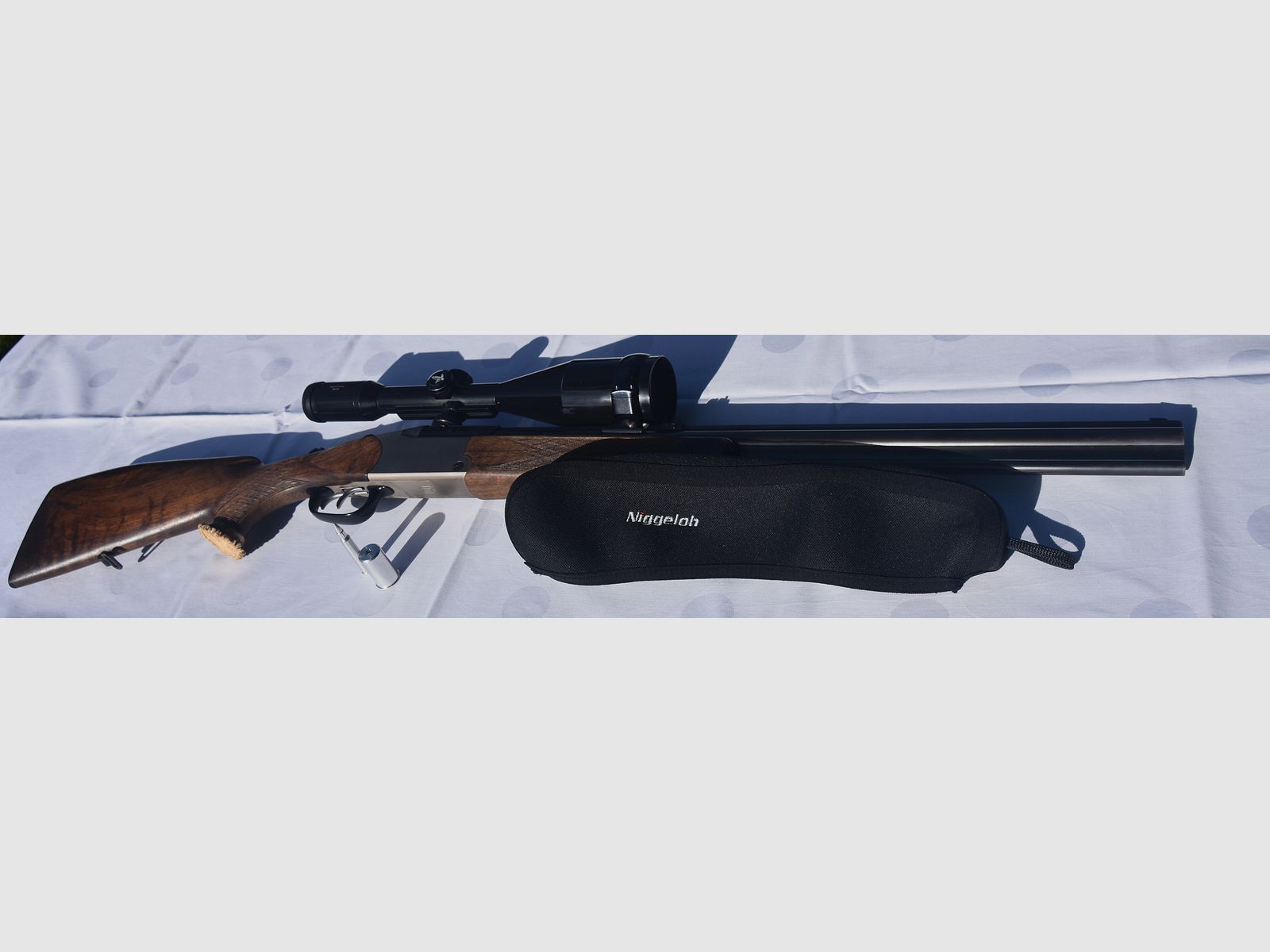 Blaser Bockbüchsflinte ES 67 5,6x50 R Magnum 12/70