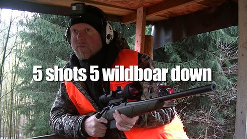 Epic shooting! 5 shots 5 wild boars down in a few seconds.