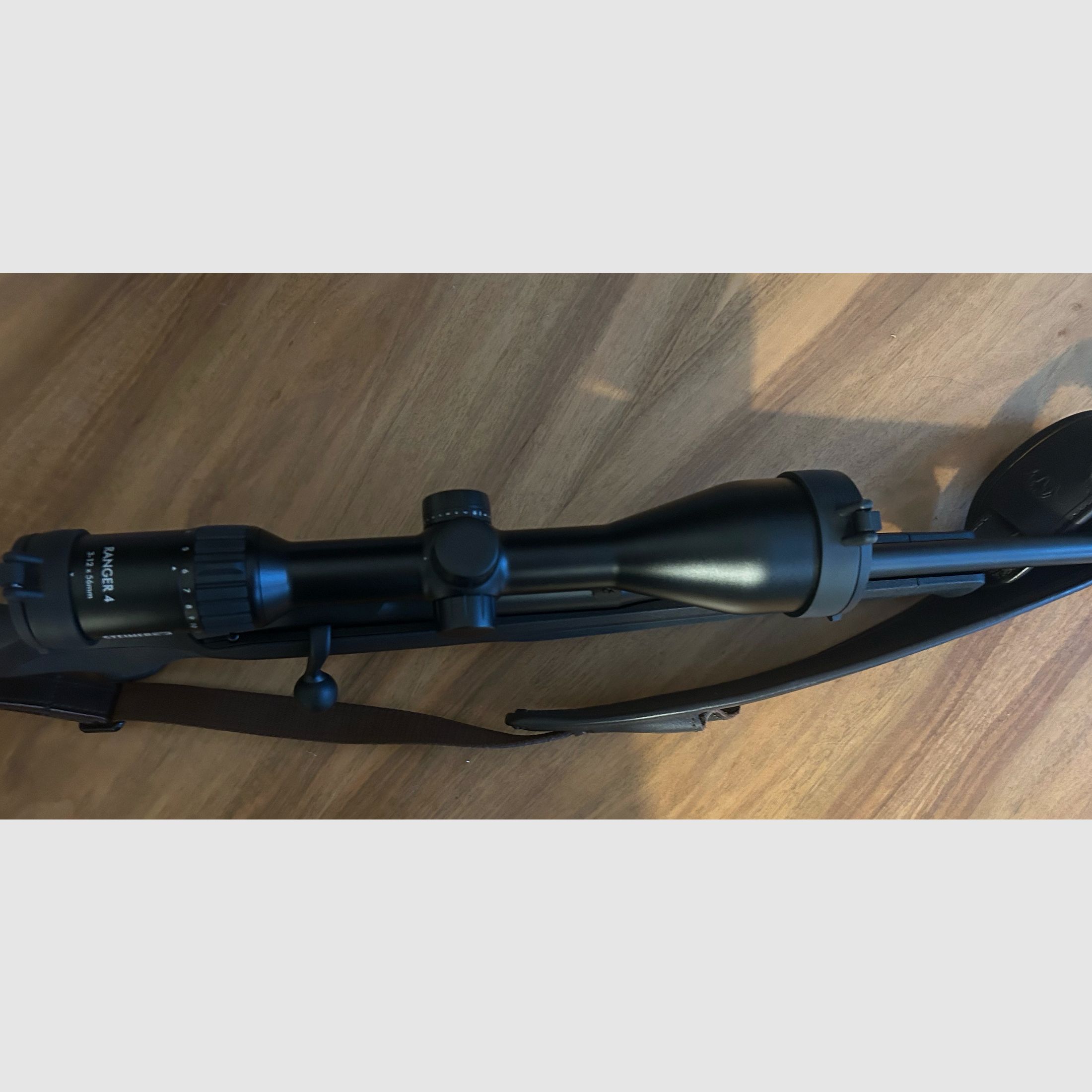 Blaser R8 Professional