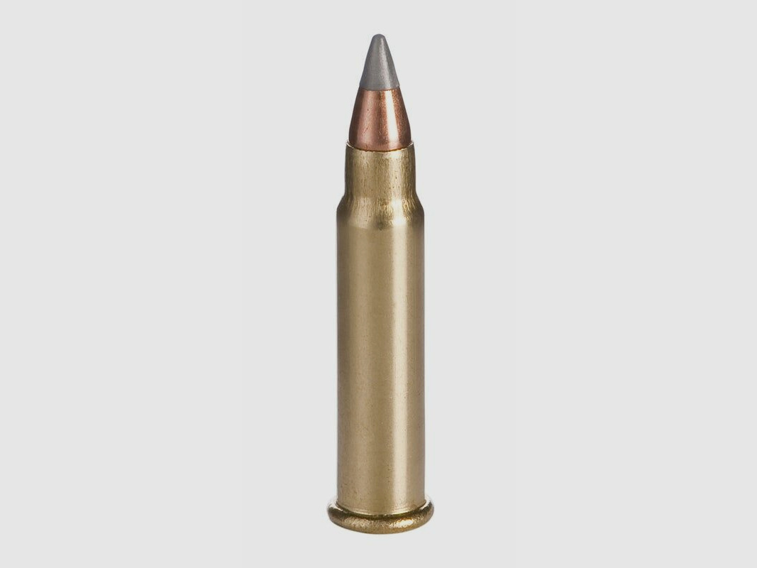 Winchester Varmint HV 17grain - 50Stk