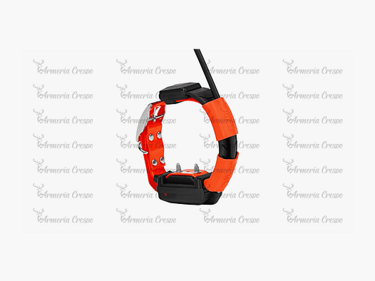Collar Adicional GPS X25-T