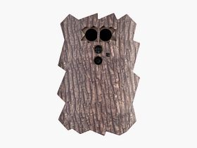 Minox DTC 460 Trail Camera