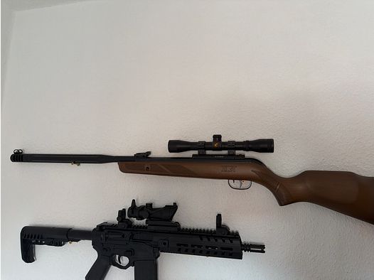 Gamo Luftgewehr 