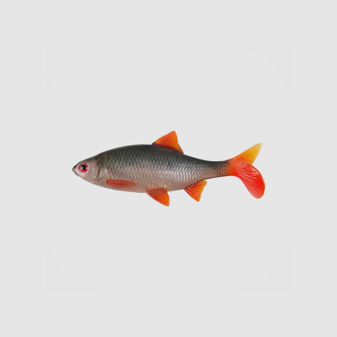FOX RAGE – ULTRA NATURALS ROACH | 14cm 5.5″ | Ultra Natural Roach, Bild 1 von 8