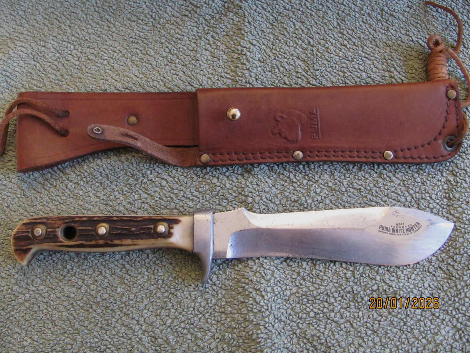 Original Puma White Hunter 6377 - geführt, ohne Schäden