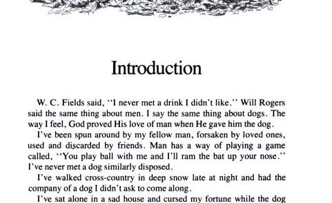 Hey pup', fetch it up!