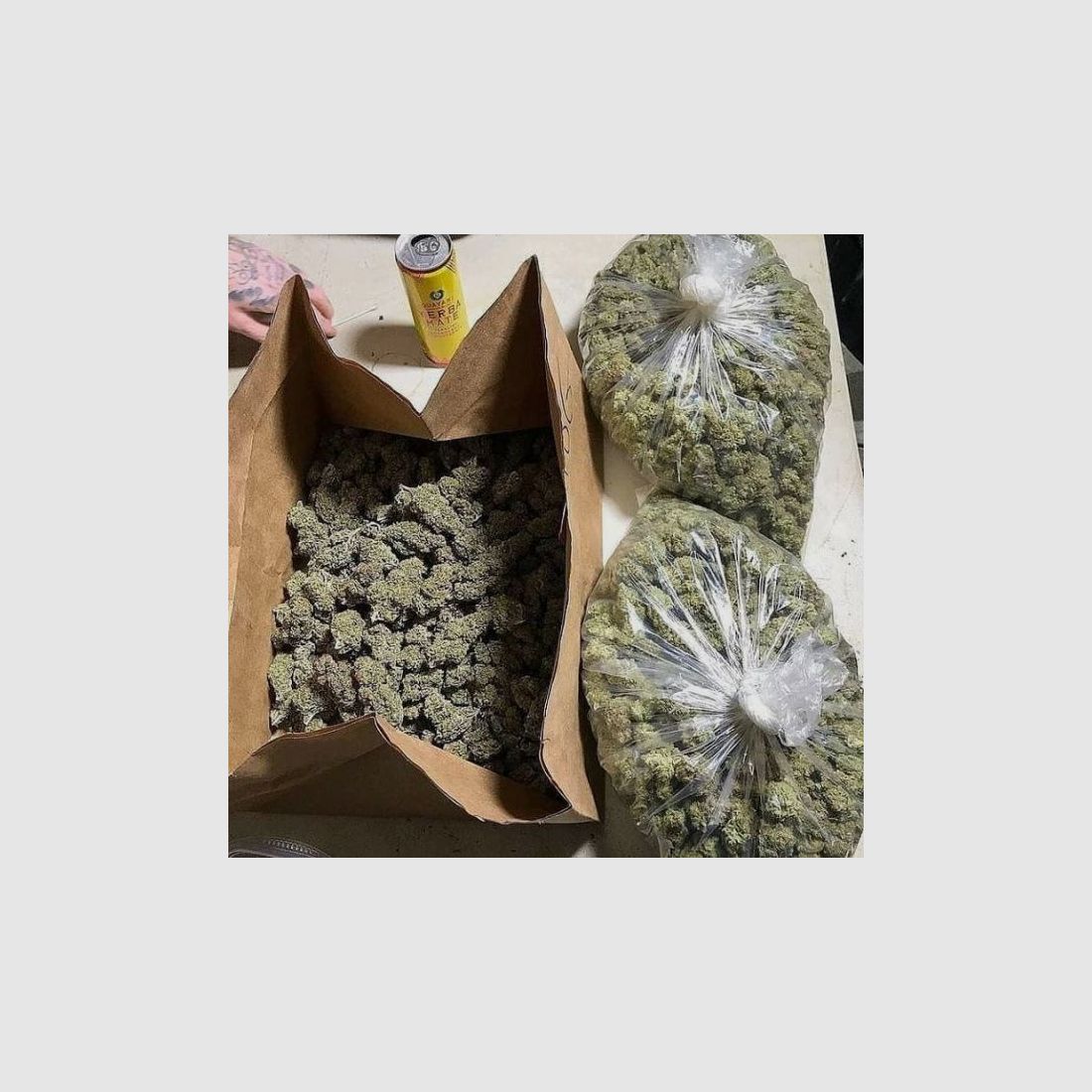 Chaud cocaïne : nous vous ferons revenir. Coca : toute la nuit, pas de banderoles. cocaïne. Gros truc Envoyez-moi un message sur Google Chat