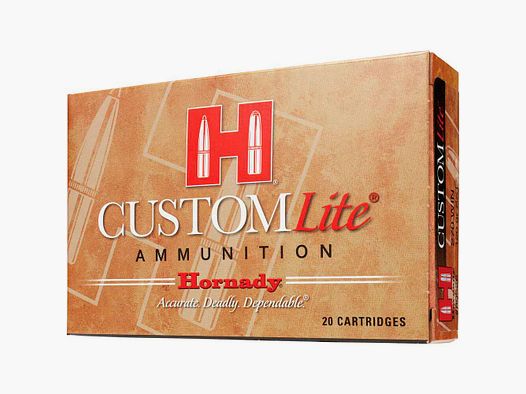 .30-06 Spr. SST Lite 8,1g/125grs. Hornady