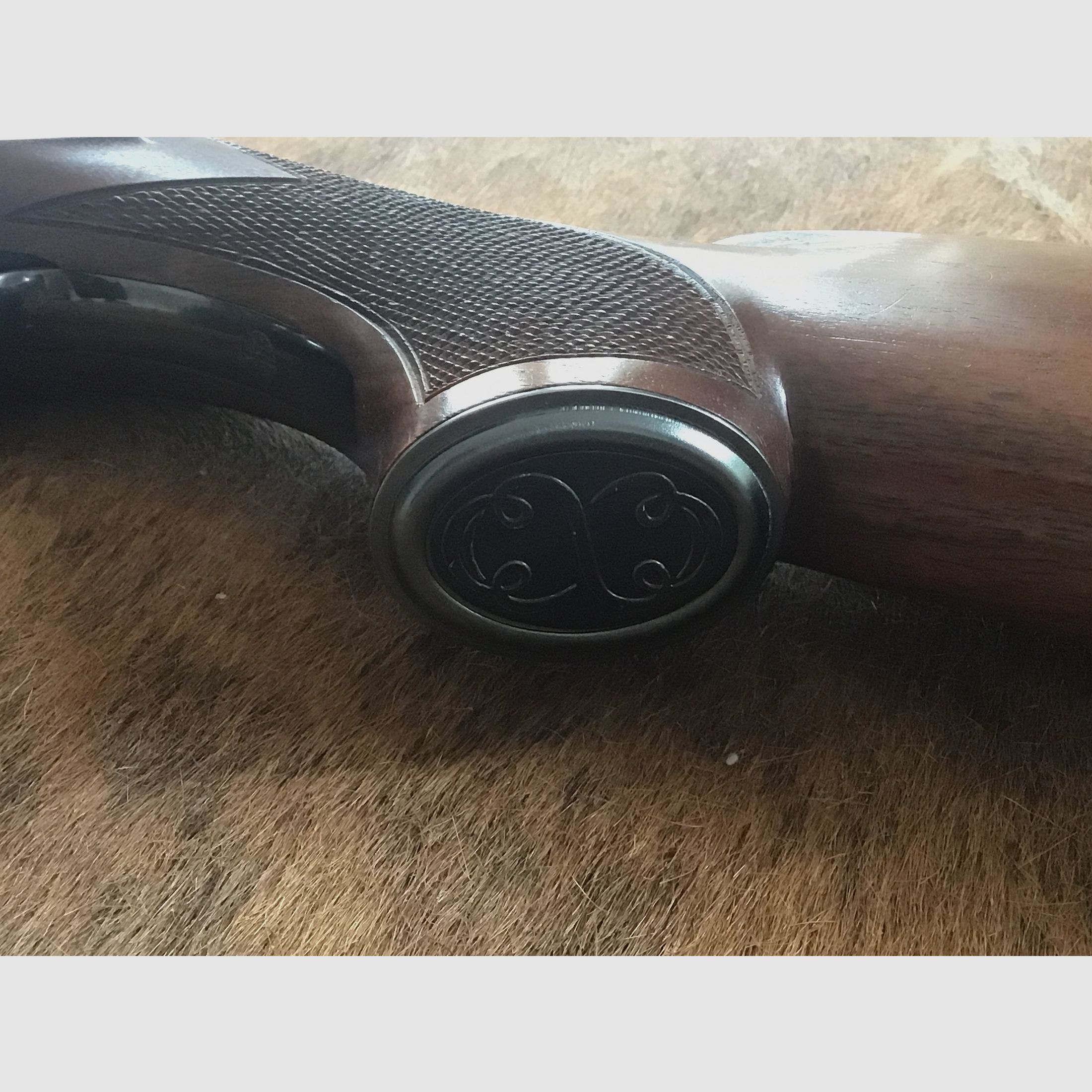 Winchester Mod. 101 
