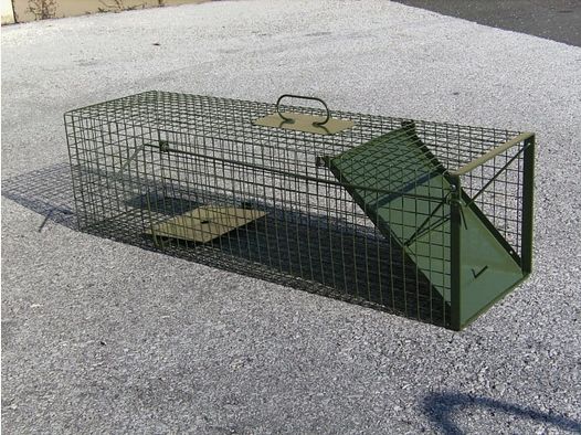 DAUTH wire box trap with a flap door