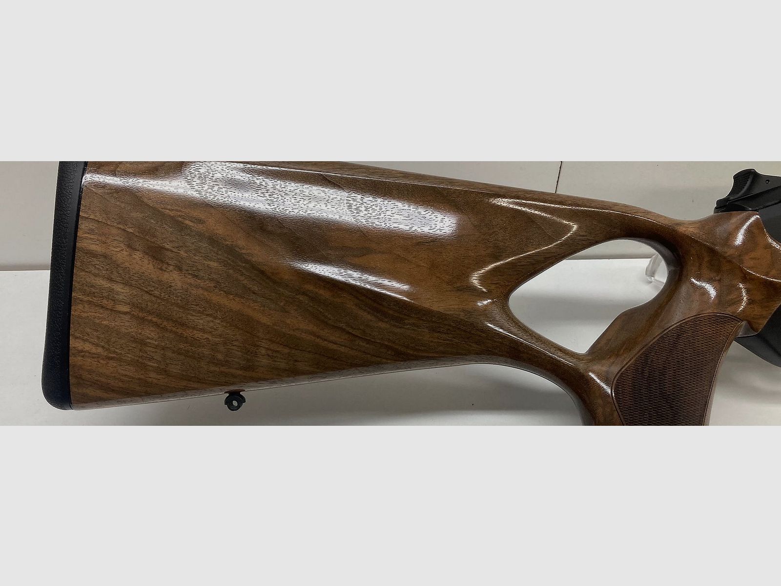 Blaser R8 Success