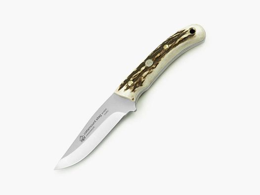 PUMA IP catamount, cervo