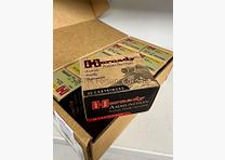 Hornady 50AE 300 gr XTP