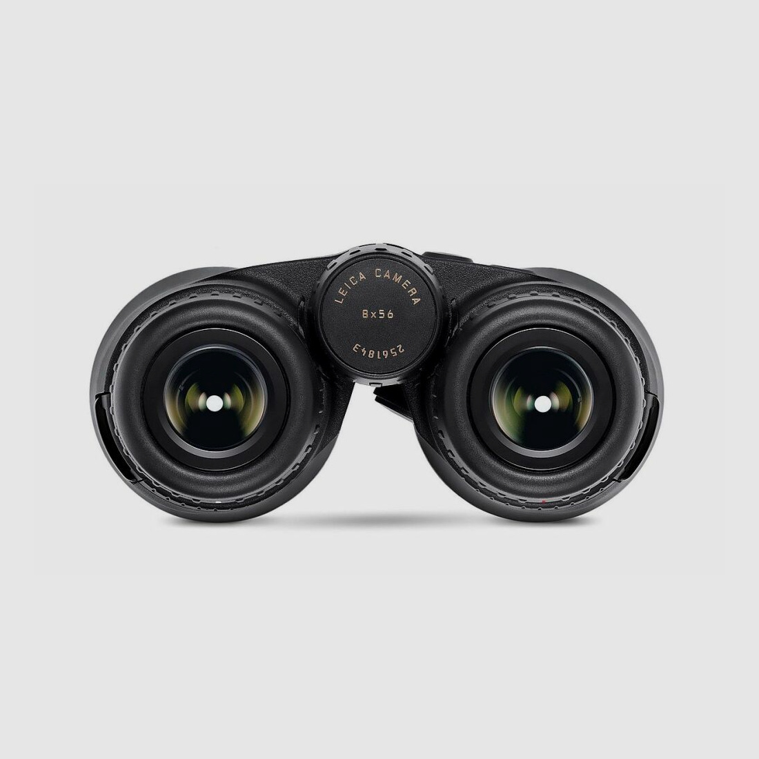 LEICA Geovid R SE 8x56