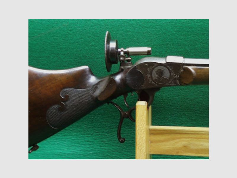 Stiegele room gun