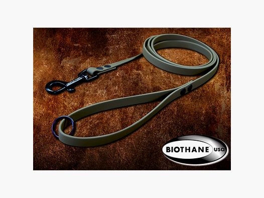 Klassische Leine aus flachem BIOTHANE