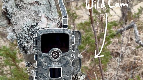 Jagdgefährte / MyHunt WildCam Wildkamera im Test