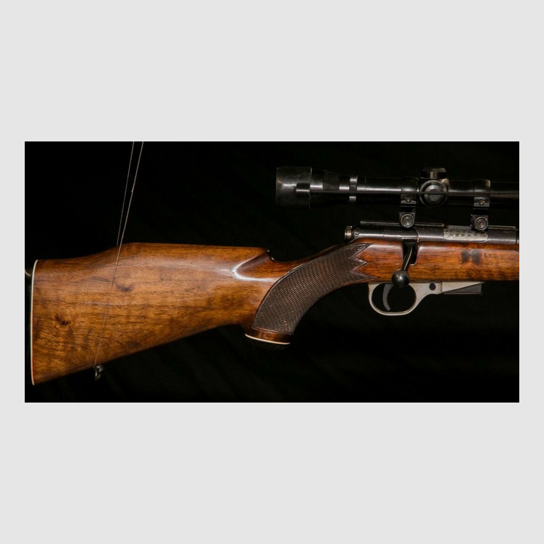 Caza de repetición rifle con mira telescópica calibre .22