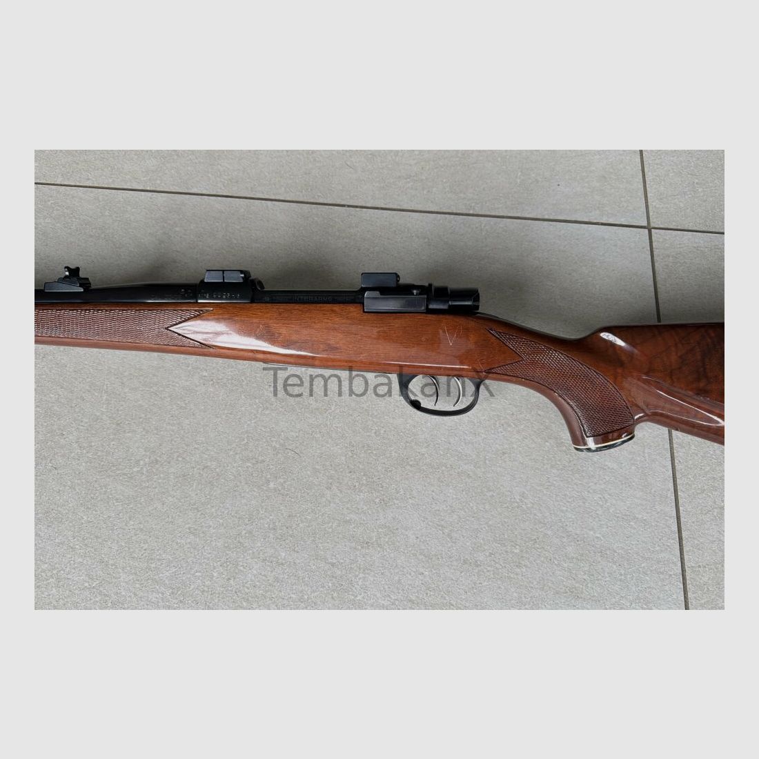 Interarms Marx X .30-06Spring