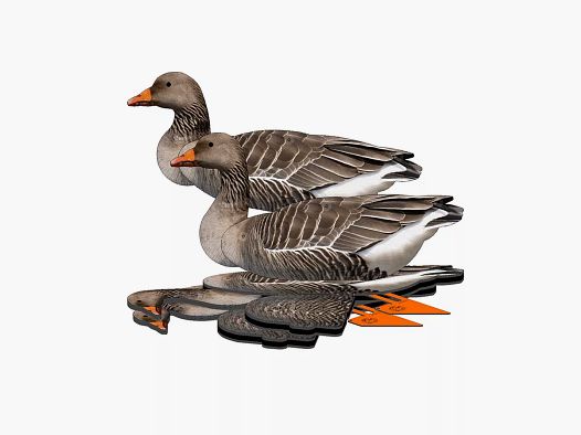 National Rifle Association FUD Lockvögel Graugans 6er Pack