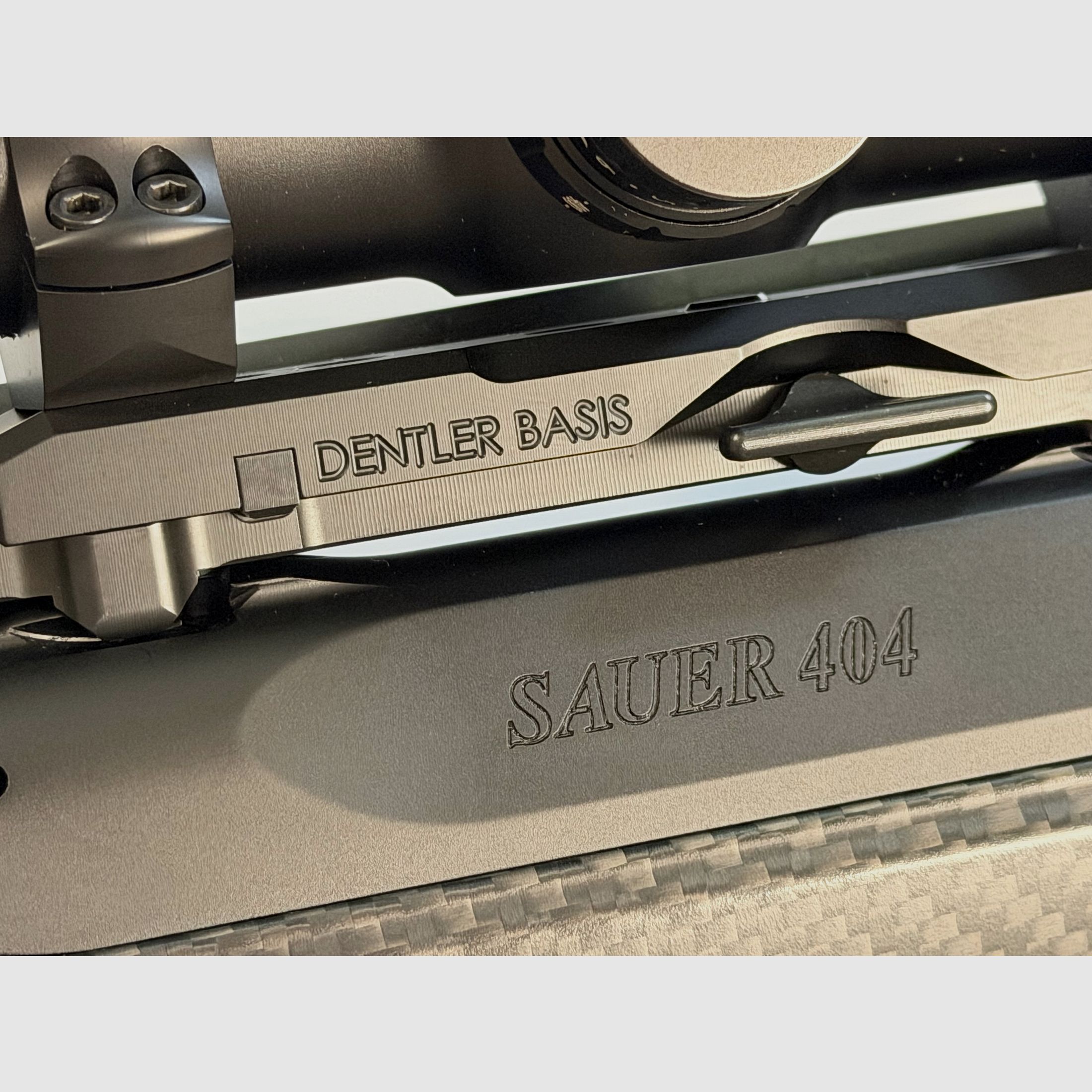 Sauer 404 Synchro XTC (Carbon) .308 + Dentler mount + Steiner Ranger 6 3-18 x 56 + handmade stone chamber grip ball