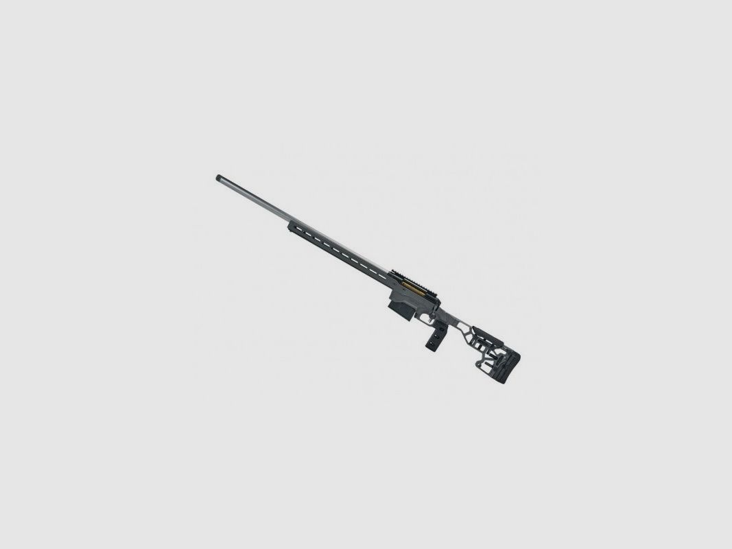 SAVAGE 110 ELITE PRECISION 338 LAPUA 30" 5 RD MGW 5/8X24, Bild 1 von 2