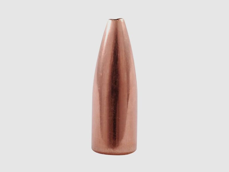 Nosler Geschoss Varmageddon .17/.172 20GR FBHP 100 Stück