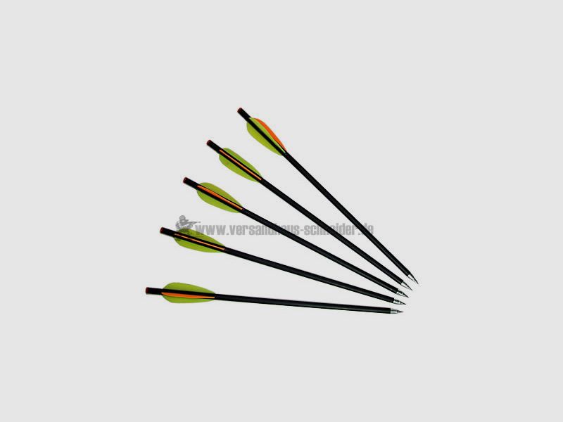 Pfeileset fĂĽr Kugel Armbrust LĂ¤nge 34 cm 5 StĂĽck