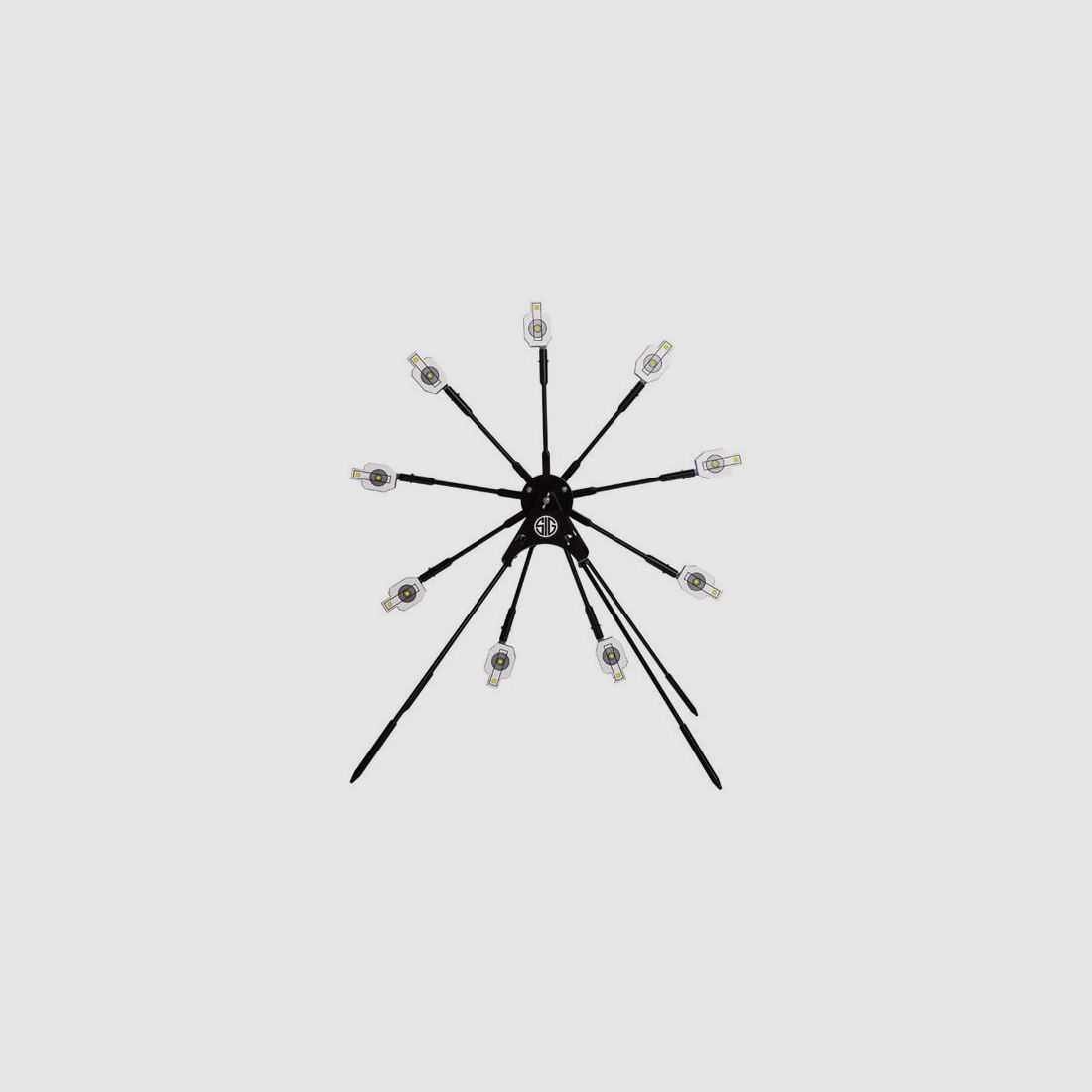 DIANAS SIG SAUER TEXAS STAR TARGET