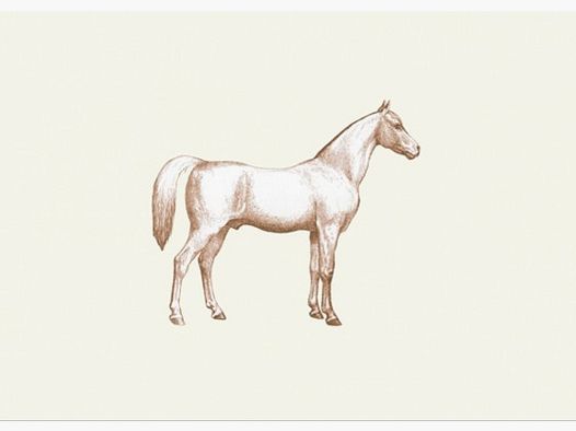 Foldable Card Horse