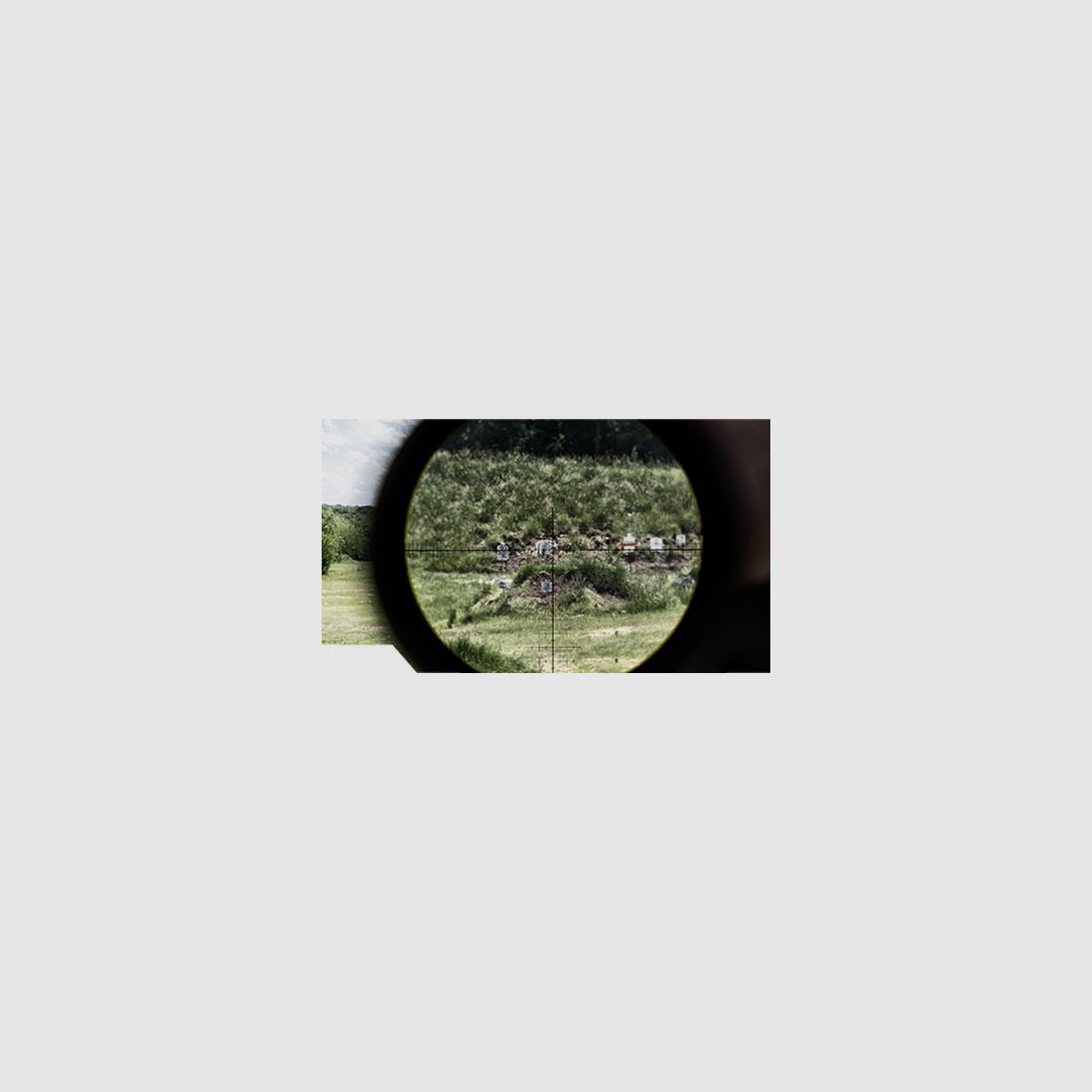 BUSHNELL ELITE TACTICAL DMR3 3.5-21x50 FFP G4P, Bild 11 von 11