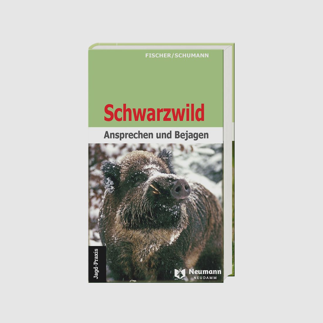 Neumann & Neudamm Schwarzwild-Ansprechen und Bejagen Fischer/Schumann