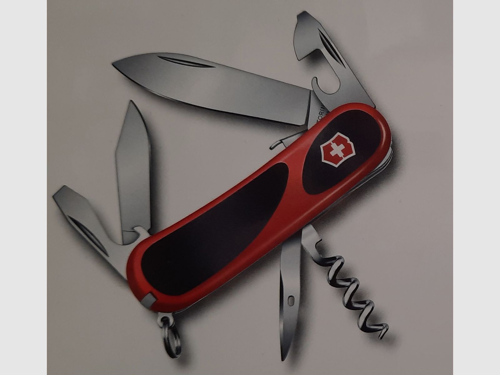 Victorinox Evolution S101  Klappmesser