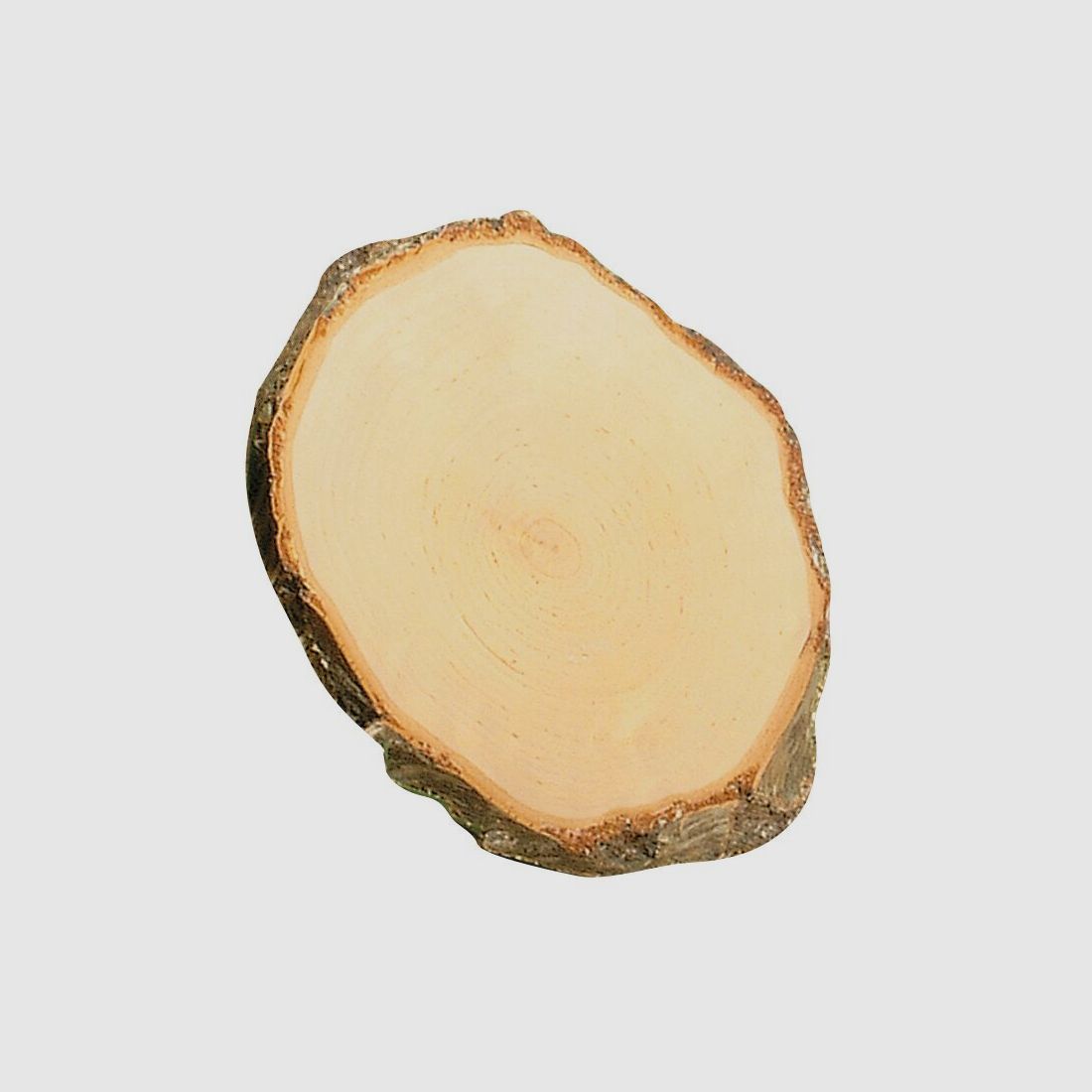 Birkenbrett für Rehbock – 16-18 x 10 cm