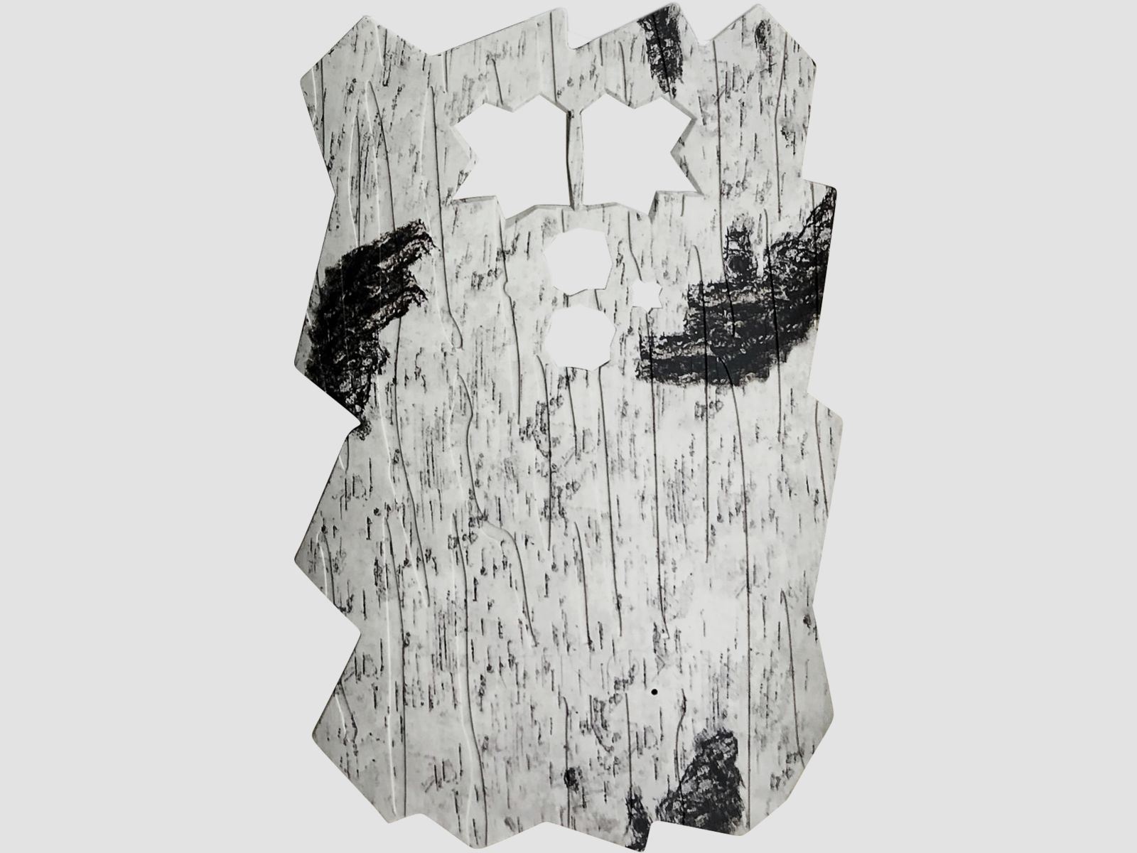 Minox DTC 460 Front Cover