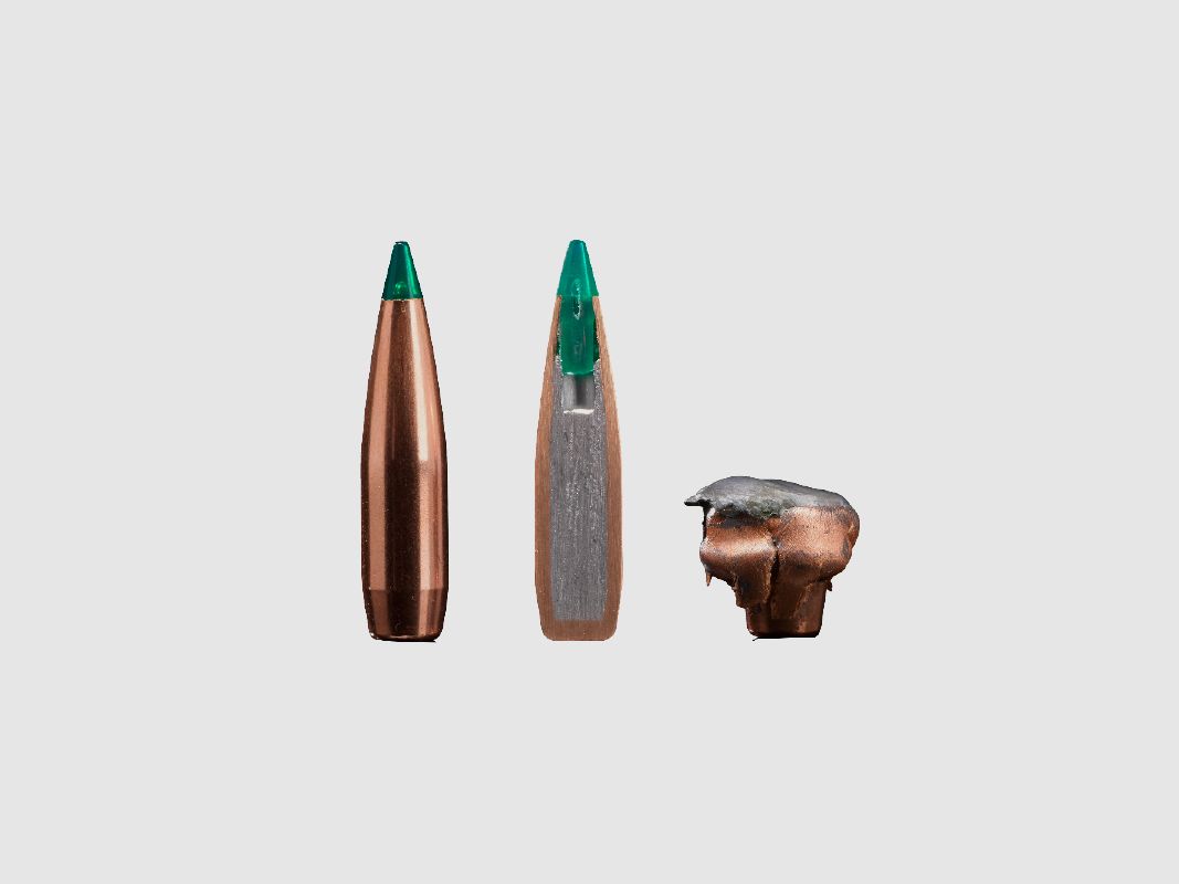 Sako 308 Win. GameHead Pro, Bild 2 von 2