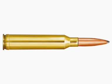 Partizan 7mm Remington Magnum SP 174gr