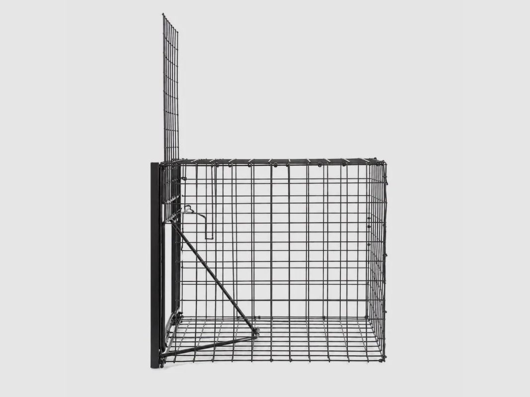 Set di 3 Trappole Individuali in Rete Saldato Zincato 21x31x21cm, immagine 4 di 6