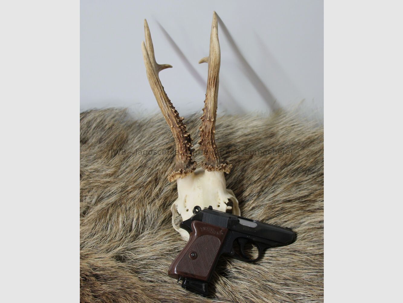 Walther PPK Kaliber .22 lr